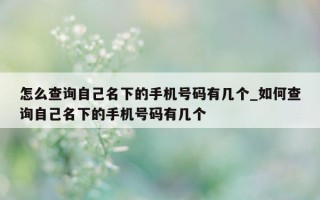 怎么查询自己名下的手机号码有几个_如何查询自己名下的手机号码有几个