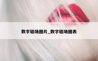 数字磁场图片_数字磁场图表