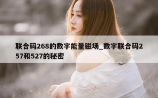 联合码 268 的数字能量磁场_数字联合码 257 和 527 的秘密