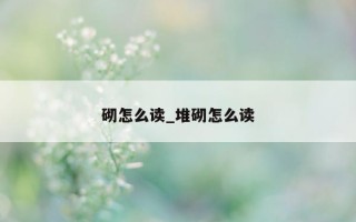 砌怎么读_堆砌怎么读