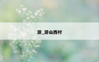 游_游山西村