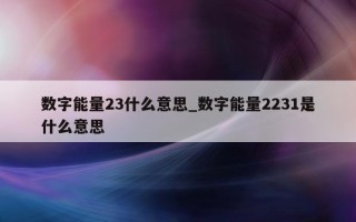 数字能量 23 什么意思_数字能量 2231 是什么意思