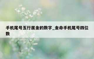 手机尾号五行属金的数字_金命手机尾号四位数