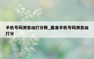 手机号码测吉凶打分数_最准手机号码测吉凶打分