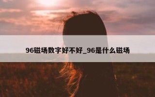 96 磁场数字好不好_96 是什么磁场