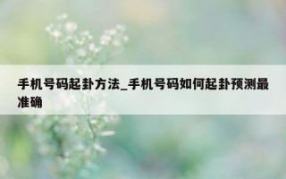 手机号码起卦方法_手机号码如何起卦预测最准确