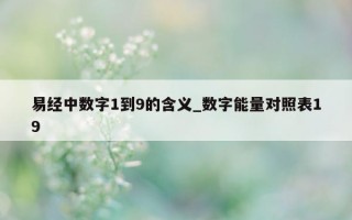 易经中数字 1 到 9 的含义_数字能量对照表 19