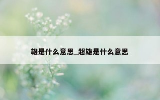 雄是什么意思_超雄是什么意思