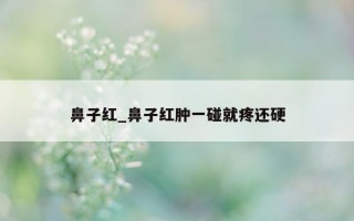 鼻子红_鼻子红肿一碰就疼还硬