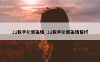 31 数字能量磁场_31 数字能量磁场解析