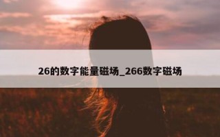 26 的数字能量磁场_266 数字磁场