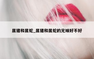 属猪和属蛇_属猪和属蛇的兄妹好不好