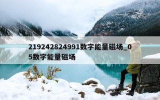 219242824991 数字能量磁场_05 数字能量磁场