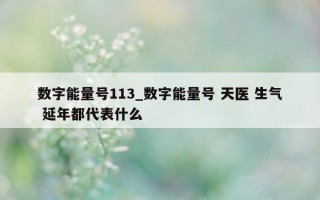 数字能量号 113_数字能量号 天医 生气 延年都代表什么