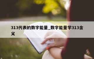 313 代表的数字能量_数字能量学 313 含义