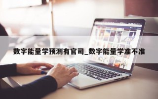 数字能量学预测有官司_数字能量学准不准