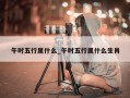 午时五行属什么_午时五行属什么生肖