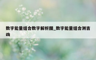 数字能量组合数字解析图_数字能量组合测吉凶