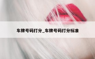 车牌号码打分_车牌号码打分标准