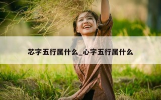 芯字五行属什么_心字五行属什么