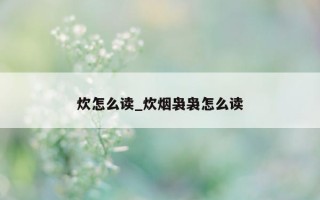 炊怎么读_炊烟袅袅怎么读