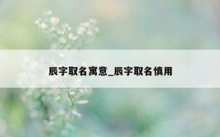 辰字取名寓意_辰字取名慎用