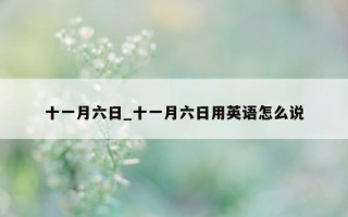 十一月六日_十一月六日用英语怎么说