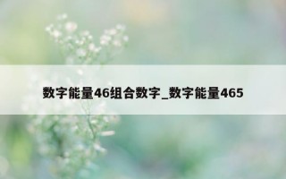 数字能量 46 组合数字_数字能量 465