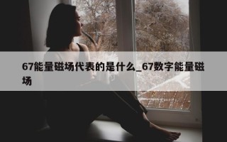 67 能量磁场代表的是什么_67 数字能量磁场