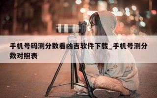 手机号码测分数看凶吉软件下载_手机号测分数对照表