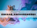 属猴的本命佛_属猴的本命佛是哪尊佛图片