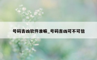 号码吉凶软件准嘛_号码吉凶可不可信