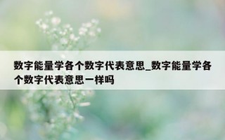 数字能量学各个数字代表意思_数字能量学各个数字代表意思一样吗