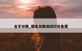 名字分数_取名分数测试打分免费