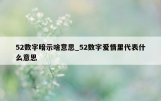 52 数字暗示啥意思_52 数字爱情里代表什么意思