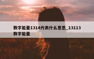 数字能量 1314 代表什么意思_13113 数字能量