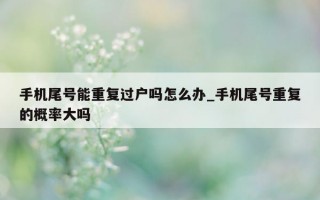 手机尾号能重复过户吗怎么办_手机尾号重复的概率大吗