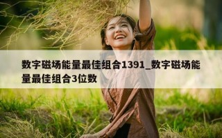 数字磁场能量最佳组合 1391_数字磁场能量最佳组合 3 位数