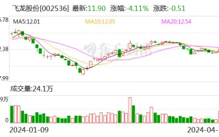 飞龙股份：2024 年第一季度净利润 1.19 亿元 同比增长 75.47%