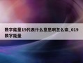 数字能量19代表什么意思啊怎么读_019数字能量