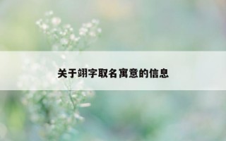 关于翊字取名寓意的信息