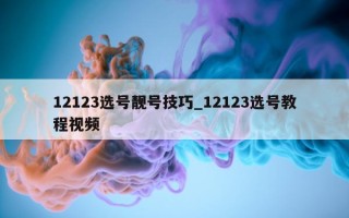 12123 选号靓号技巧_12123 选号教程视频