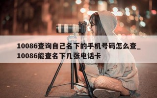 10086 查询自己名下的手机号码怎么查_10086 能查名下几张电话卡