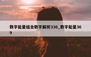 数字能量组合数字解析 336_数字能量 369