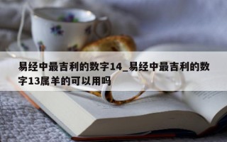 易经中最吉利的数字 14_易经中最吉利的数字 13 属羊的可以用吗