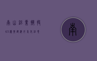 南山铝业拟投 63 亿扩建海外氧化铝项目 国内外业务“双轮驱动”一季净利增 64%