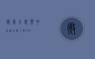 微美全息盘中异动 大幅下挫5.30%