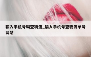 输入手机号码查物流_输入手机号查物流单号网站