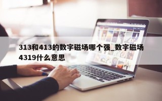 313 和 413 的数字磁场哪个强_数字磁场 4319 什么意思