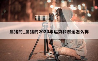 属猪的_属猪的 2024 年运势和财运怎么样